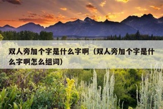 双人旁加个字是什么字啊（双人旁加个字是什么字啊怎么组词）