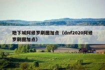 地下城阿修罗刷图加点（dnf2020阿修罗刷图加点）