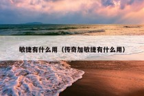 敏捷有什么用（传奇加敏捷有什么用）