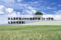 少儿急转弯10000道题好笑（4～6岁幼儿急转弯简单）