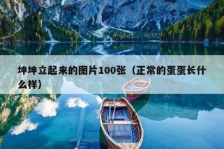 坤坤立起来的图片100张（正常的蛋蛋长什么样）