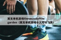 英文单机游戏thesecretofthegarden（英文单机游戏小人可以飞天）