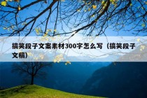 搞笑段子文案素材300字怎么写（搞笑段子文稿）