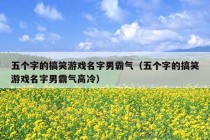 五个字的搞笑游戏名字男霸气（五个字的搞笑游戏名字男霸气高冷）