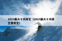 2023最火十大综艺（2023最火十大综艺爱奇艺）