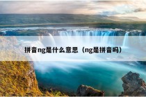 拼音ng是什么意思（ng是拼音吗）