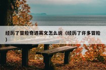 经历了冒险奇遇英文怎么说（经历了许多冒险）