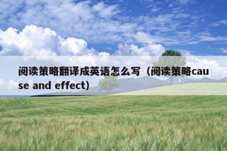 阅读策略翻译成英语怎么写（阅读策略cause and effect）