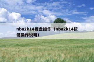 nba2k14键盘操作（nba2k14按键操作说明）