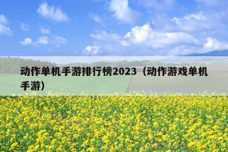 动作单机手游排行榜2023（动作游戏单机手游）