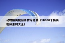 动物搞笑视频素材库免费（10000个搞笑视频素材大全）