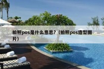 拍照pos是什么意思?（拍照pos造型图片）