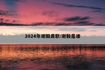 2024年谢毅离职:谢毅是谁