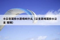 小公主装扮小游戏叫什么（公主游戏装扮小公主 视频）