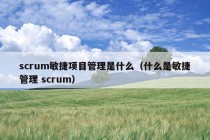 scrum敏捷项目管理是什么（什么是敏捷管理 scrum）