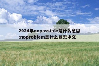 2024年nopossible是什么意思:noproblem是什么意思中文