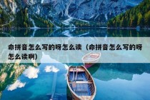 命拼音怎么写的呀怎么读（命拼音怎么写的呀怎么读啊）