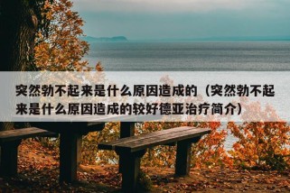 突然勃不起来是什么原因造成的（突然勃不起来是什么原因造成的较好德亚治疗简介）