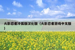 火影忍者冷狐版汉化版（火影忍者游戏中文版）