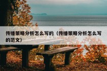 传播策略分析怎么写的（传播策略分析怎么写的范文）