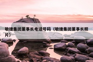 敏捷集团董事长电话号码（敏捷集团董事长照片）