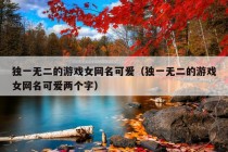 独一无二的游戏女网名可爱（独一无二的游戏女网名可爱两个字）