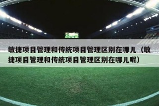 敏捷项目管理和传统项目管理区别在哪儿（敏捷项目管理和传统项目管理区别在哪儿呢）