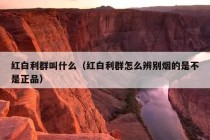 红白利群叫什么（红白利群怎么辨别烟的是不是正品）