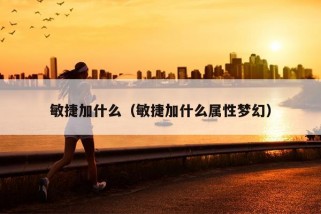 敏捷加什么（敏捷加什么属性梦幻）