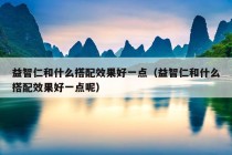 益智仁和什么搭配效果好一点（益智仁和什么搭配效果好一点呢）