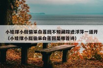 小娃撑小艇偷采白莲回不知藏踪迹浮萍一道开（小娃撑小艇偷采白莲回是哪首诗）