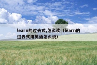 learn的过去式,怎么读（learn的过去式用英语怎么说）