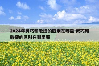 2024年灵巧和敏捷的区别在哪里:灵巧和敏捷的区别在哪里呢