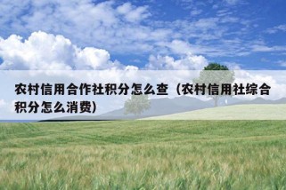 农村信用合作社积分怎么查（农村信用社综合积分怎么消费）