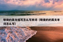 敏捷的英文缩写怎么写单词（敏捷的的英文单词怎么写）