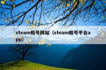 steam租号网站（steam租号平台app）