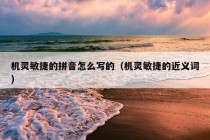 机灵敏捷的拼音怎么写的（机灵敏捷的近义词）