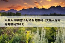 火柴人你瞅啥10万钻石兑换码（火柴人你瞅啥兑换码2021）