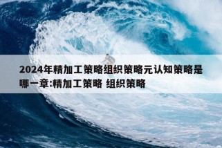 2024年精加工策略组织策略元认知策略是哪一章:精加工策略 组织策略