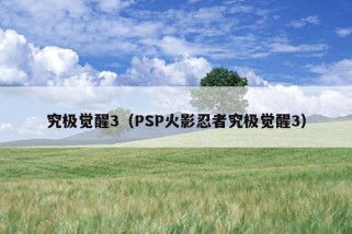 究极觉醒3（PSP火影忍者究极觉醒3）