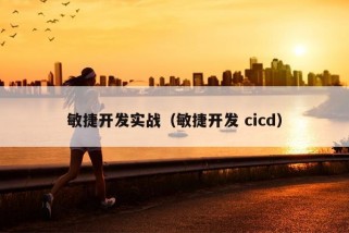 敏捷开发实战（敏捷开发 cicd）