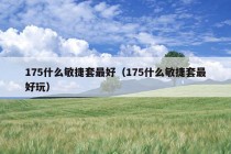 175什么敏捷套最好（175什么敏捷套最好玩）