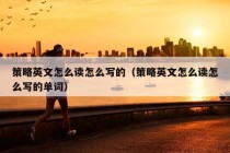 策略英文怎么读怎么写的（策略英文怎么读怎么写的单词）