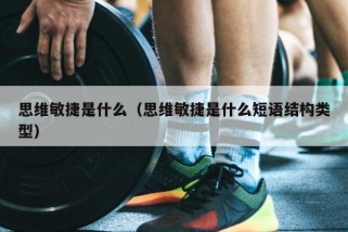 思维敏捷是什么（思维敏捷是什么短语结构类型）