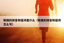 敏捷的拼音和组词是什么（敏捷的拼音和组词怎么写）