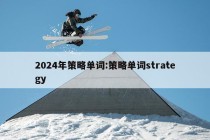 2024年策略单词:策略单词strategy