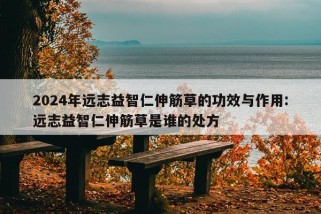 2024年远志益智仁伸筋草的功效与作用:远志益智仁伸筋草是谁的处方