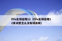 fifa足球经理12（fifa足球经理12青训营怎么没有球员呢）