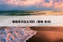 策略单词怎么写的（策略 单词）