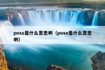 poss是什么意思啊（pose是什么意思啊）